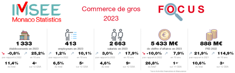 Focus : Commerce de gros 2023