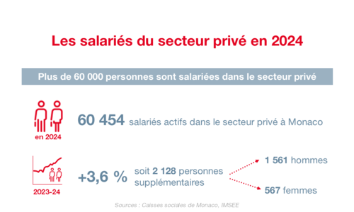 Infographie - Salariés privé 2024 1-3